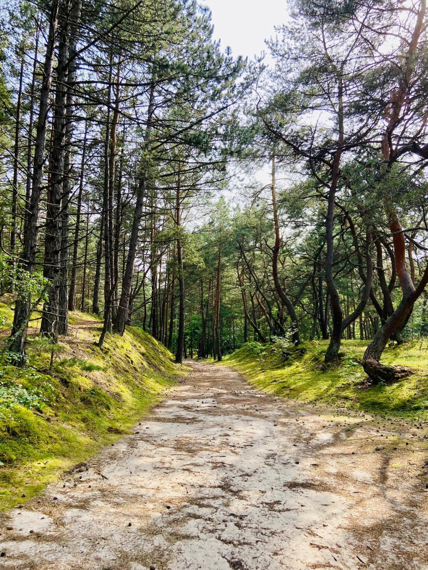 Villa Arkodes Gdansk Dış mekan fotoğraf